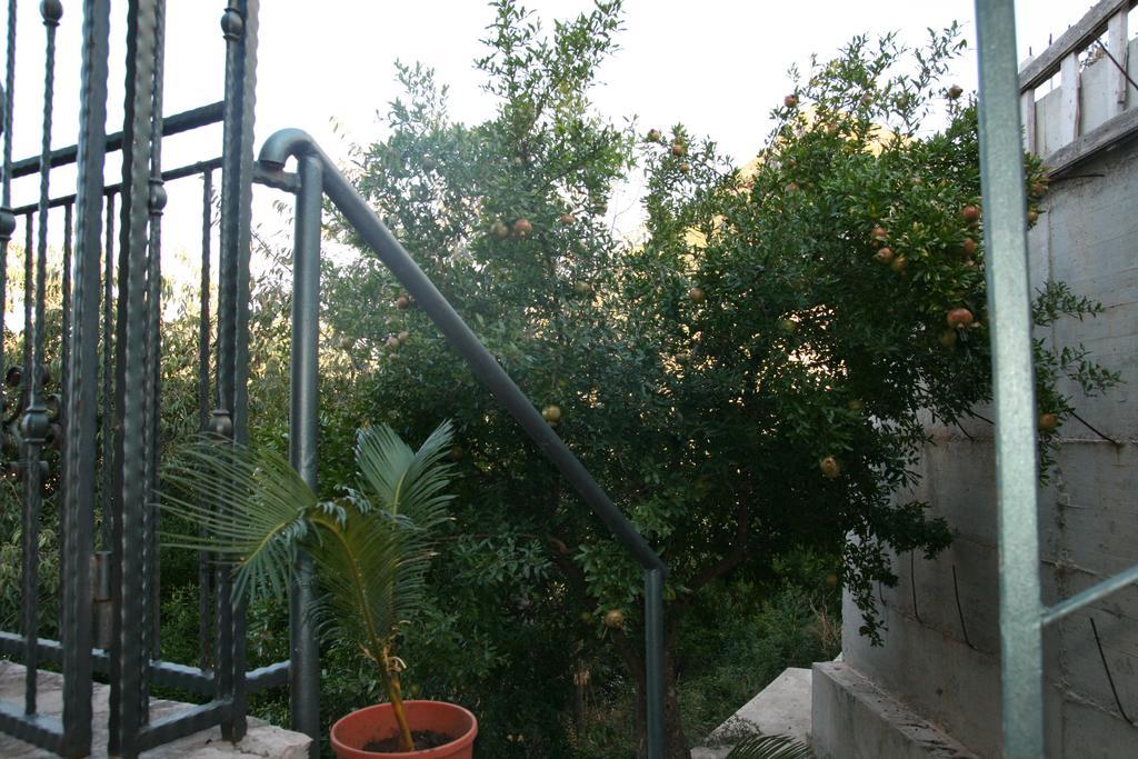 Apartments Villa Cucuk Будва Экстерьер фото